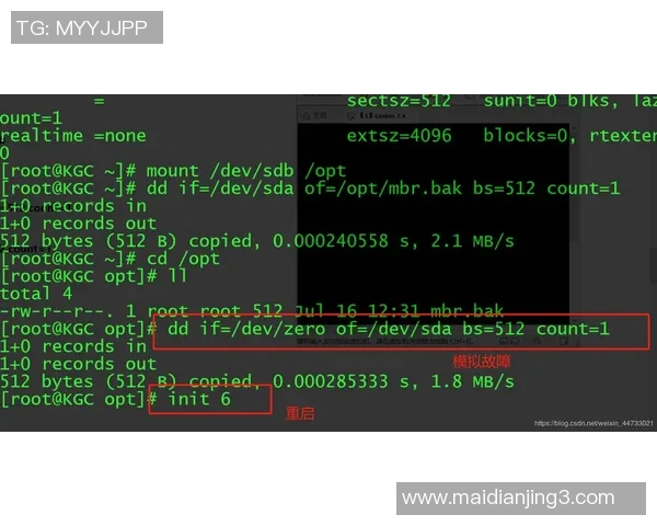esports最新数据深入分析BLG在DOTA2比赛中的控制策略与战术运用